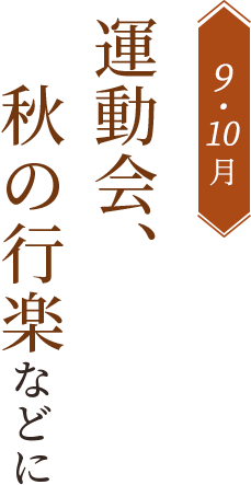 運動会、秋の行楽などに