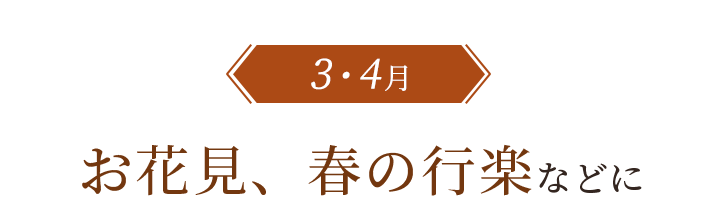 お花見、春の行楽などに