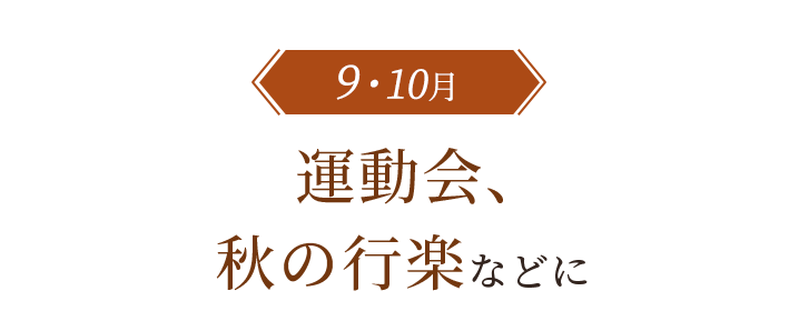 運動会、秋の行楽などに